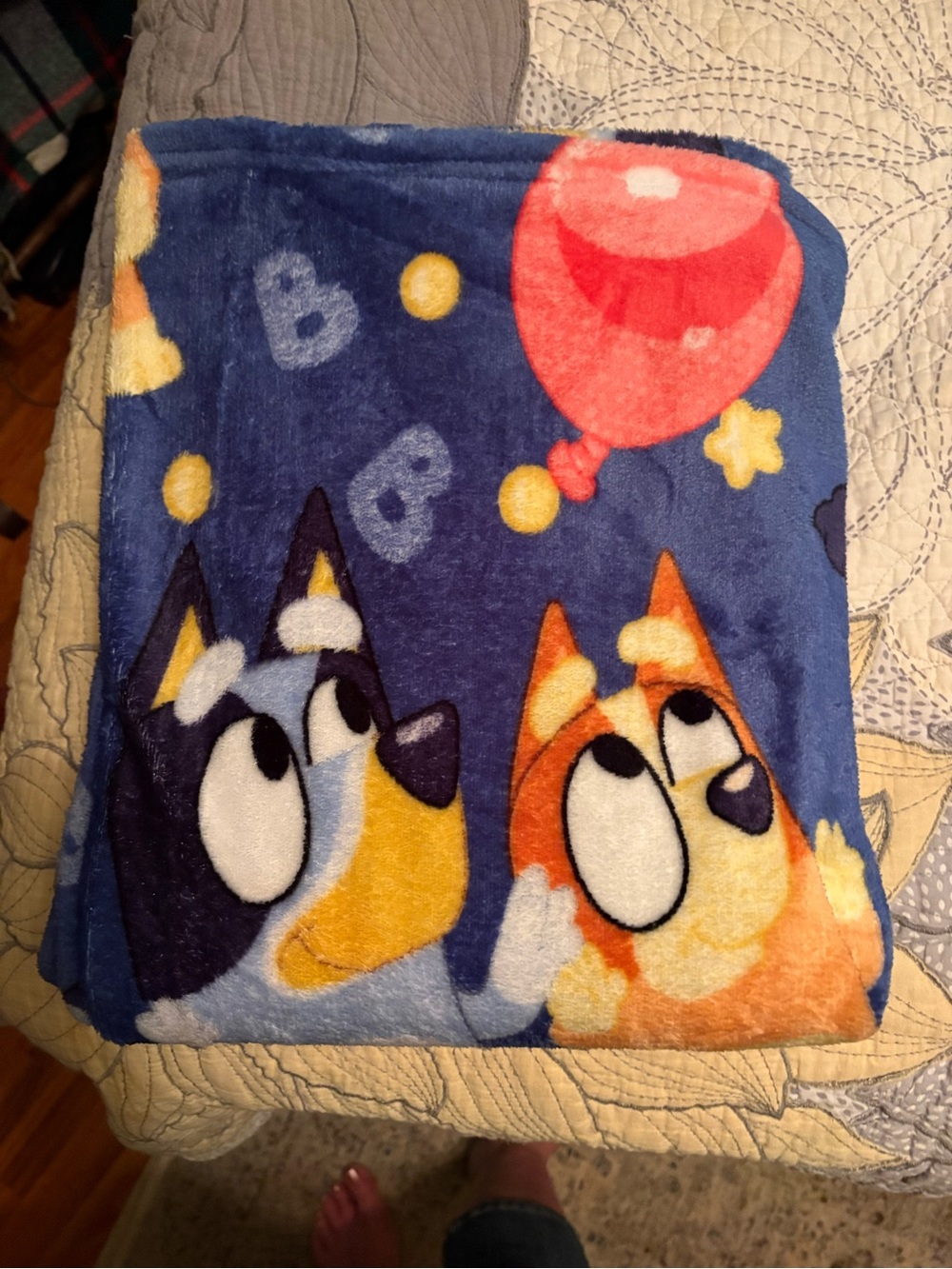 New Bluey Plush Throw Blanket